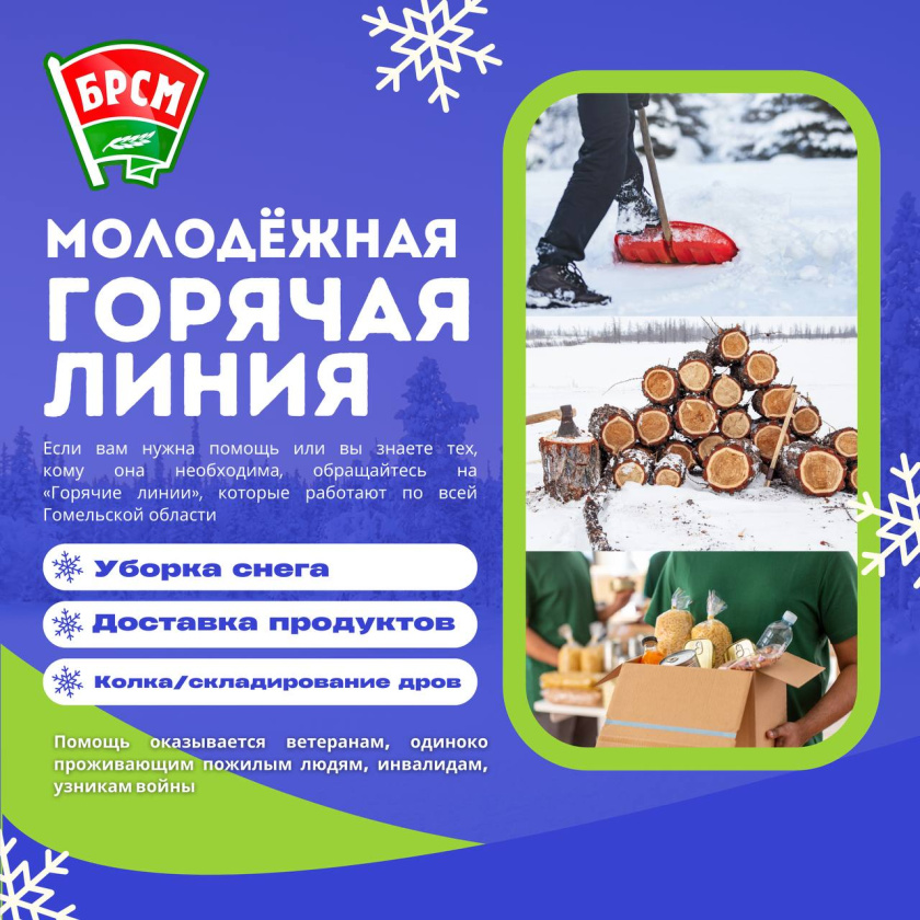 Уборка снега, колка дров, доставка продуктов: в БРСМ работают горячие линии для одиноко проживающих пожилых людей