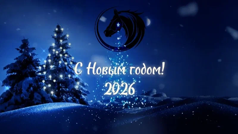 Поздравление руководства Наровлянского района с Новым 2026 годом и Рождеством!