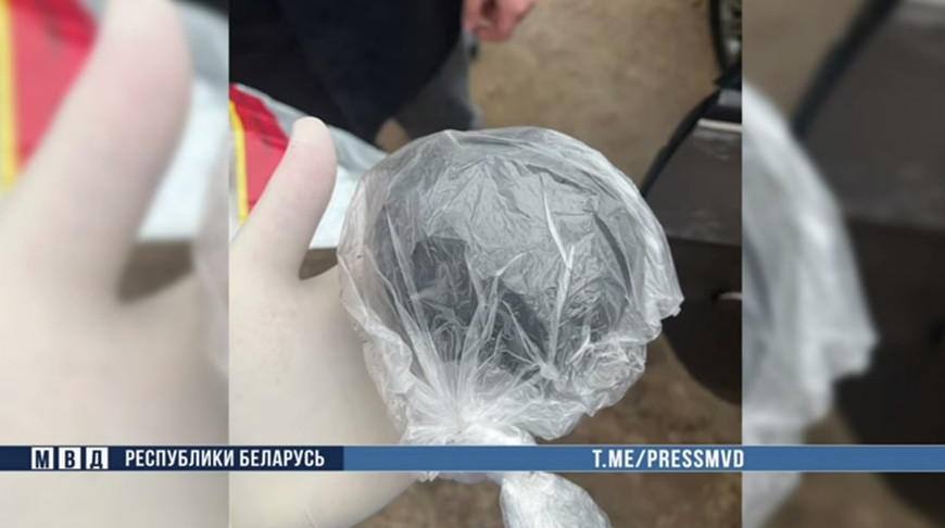 Сотрудники наркоконтроля Гомельщины задержали с поличным курьера интернет-наркошопа