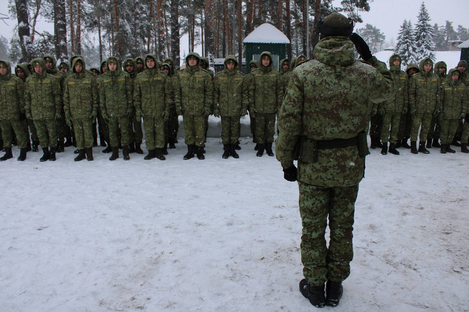 Год пограничного мастерства