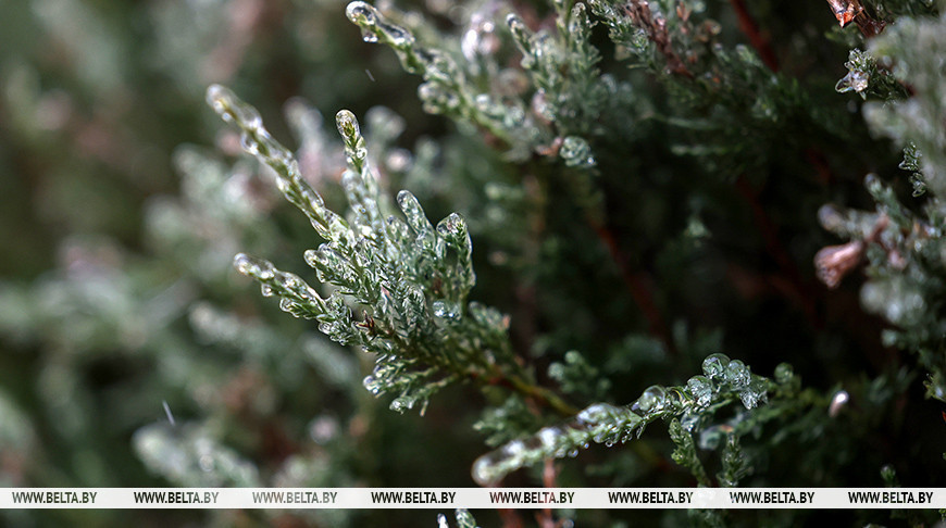 Вернутся ли в Беларусь 20-градусные морозы, ответили синоптики