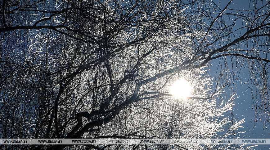 Какой регион Беларуси 19 февраля ждут 20-градусные морозы, рассказали синоптики