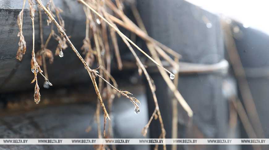 Какую погоду ждать белорусам 27 февраля? Рассказали в Белгидромете