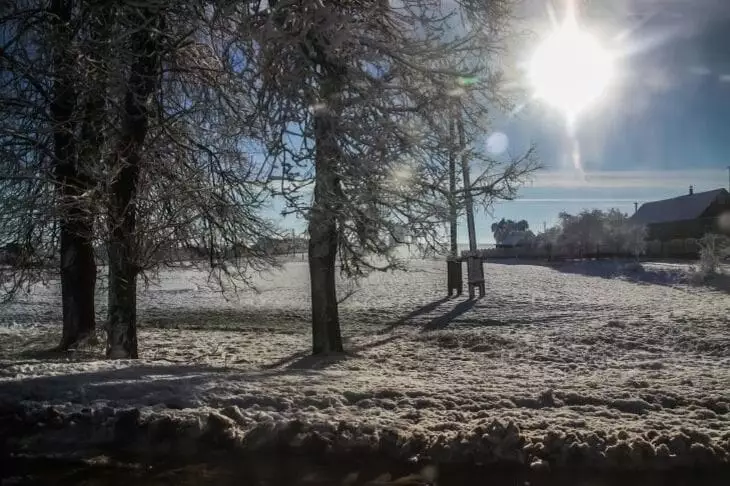 Оранжевый уровень опасности объявлен в Беларуси на 25 февраля. О чем предупреждают синоптики? 