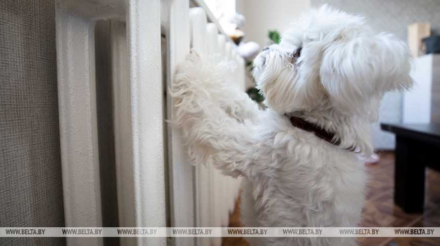 Когда отключают отопление? Сроки и условия разъяснили в «Белэнерго»