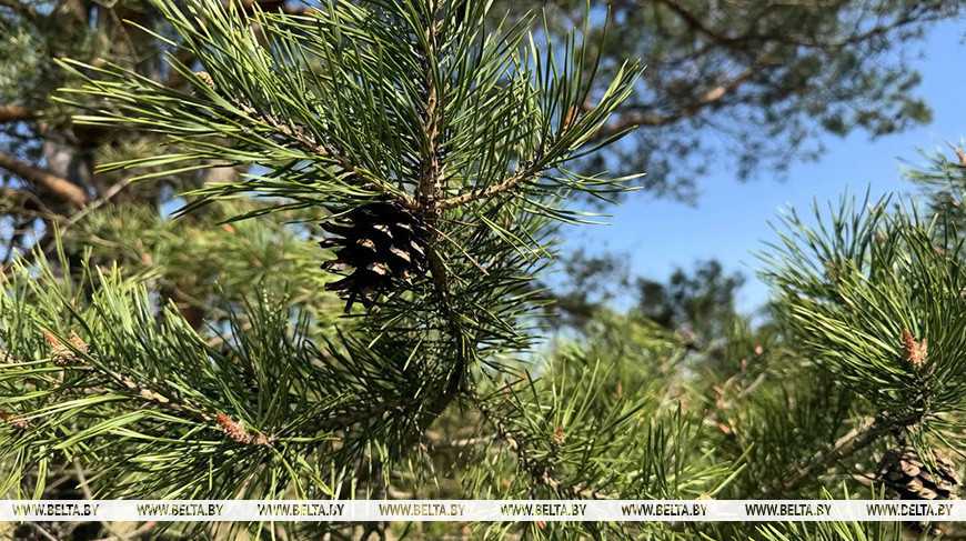 Министерство природных ресурсов и охраны окружающей среды