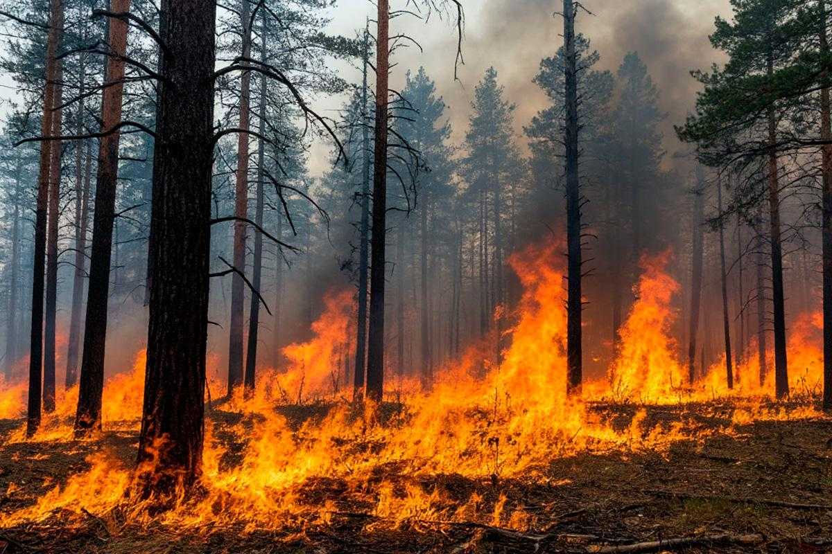 О начале пожароопасного периода