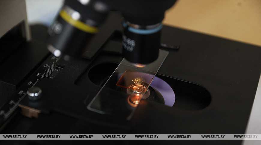 Госатомнадзор: наука помогла минимизировать последствия аварии на ЧАЭС и управлять радиационной обстановкой