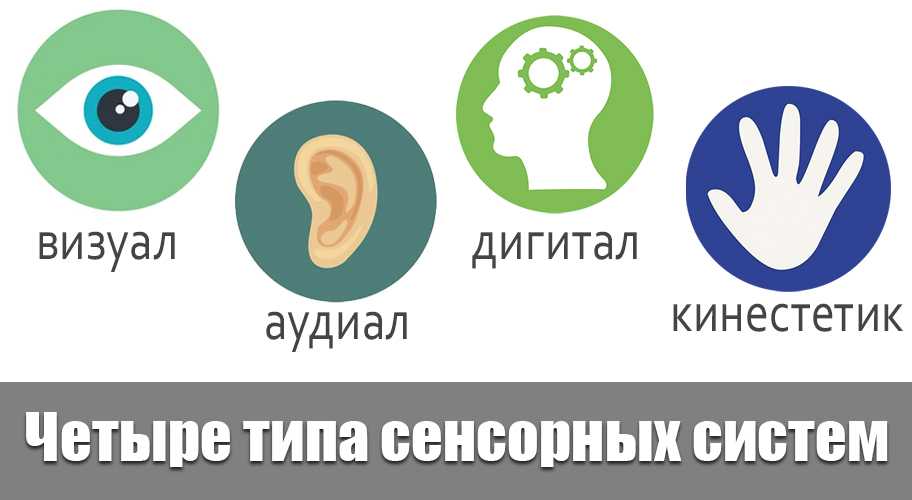 Психолог Наровлянской ЦРБ о типах сенсорного восприятия