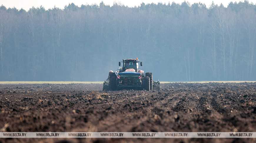 Минсельхозпрод: основная фаза посевной кампании в Беларуси успешно завершается