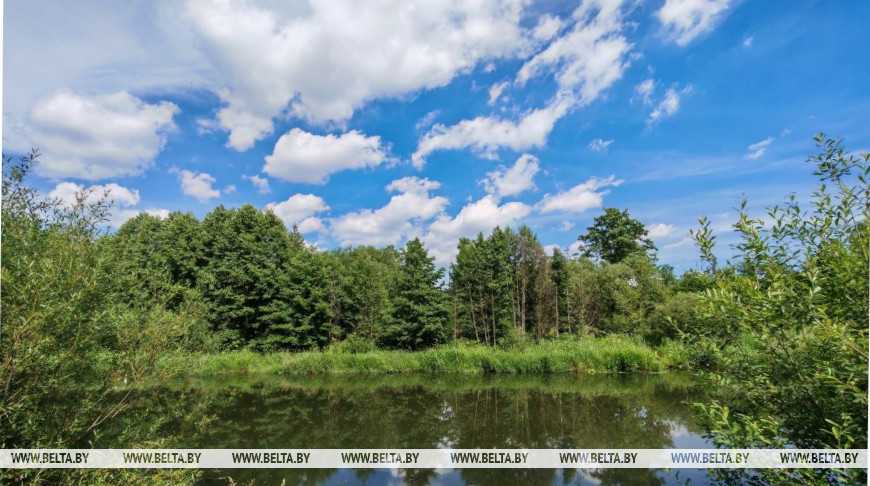Ограничения на посещение лесов действуют во всех областях Беларуси