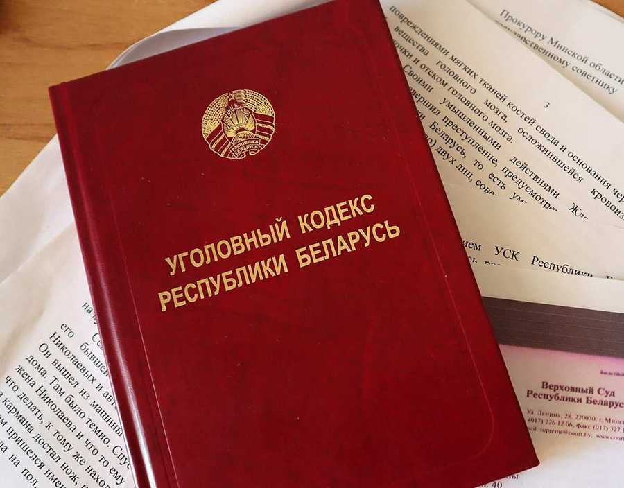 Хотели «поживиться», а попали под следствие