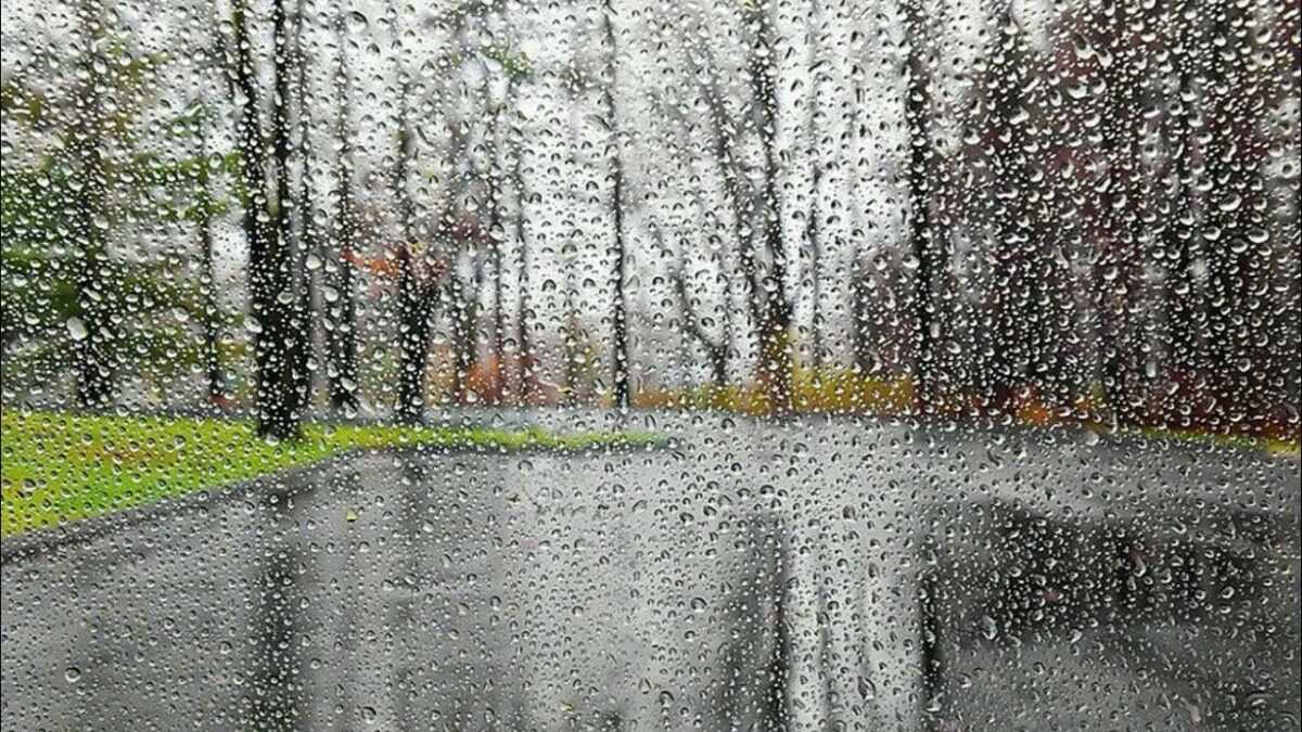 Где 22 августа будут ливни, а где зной в +36°С? Синоптики рассказали о погоде