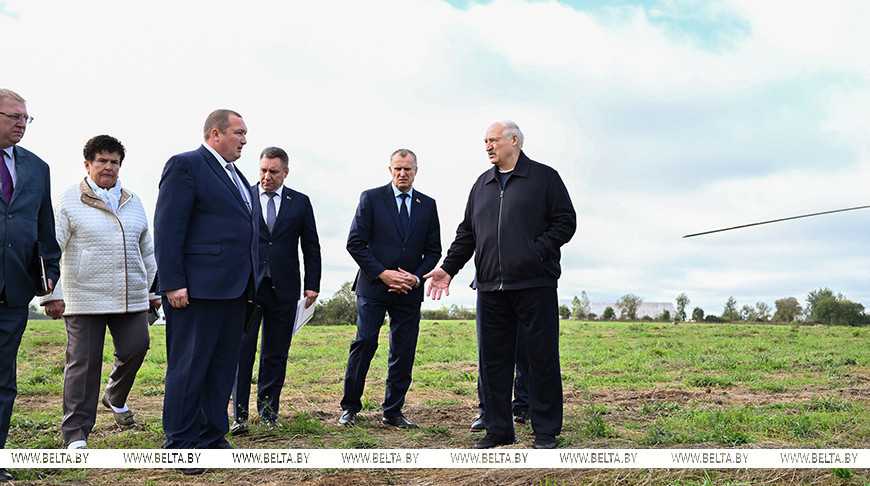 В графике Президента — сельхозтематика. Лукашенко совершил рабочую поездку в Шкловский район 